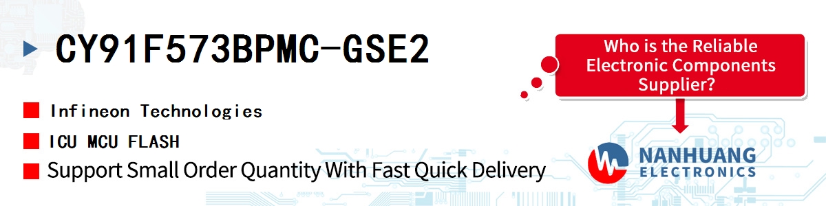 CY91F573BPMC-GSE2 Infineon ICU MCU FLASH